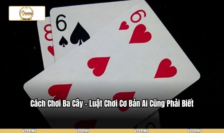 Cách Chơi Ba Cây - Hướng Dẫn Chi Tiết Và Mẹo Thắng Lớn 3309 Cách chơi sáng tạo đơn giản cho mọi người